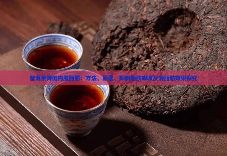 普洱茶降低内脏脂肪：方法、原理、抑制脂肪吸收及消脂肪效果探究