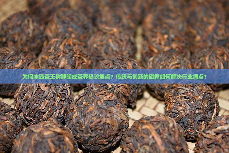 为何冰岛茶王树静陶成茶界热议焦点？传统与创新的碰撞如何解决行业痛点？