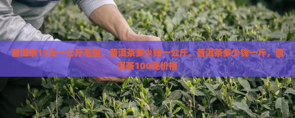 普洱茶15元一公斤毛量，普洱茶多少钱一公斤，普洱茶多少钱一斤，普洱茶100克价格