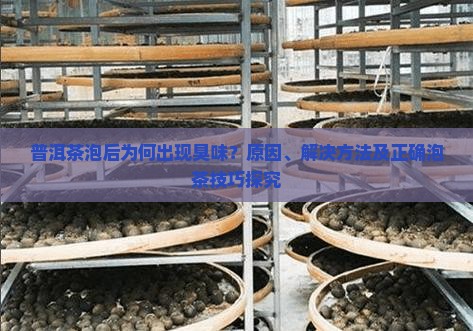 普洱茶泡后为何出现臭味？原因、解决方法及正确泡茶技巧探究
