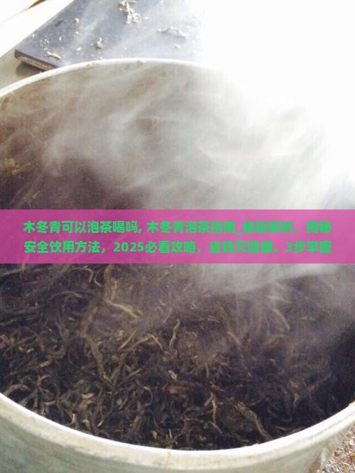 木冬青可以泡茶喝吗