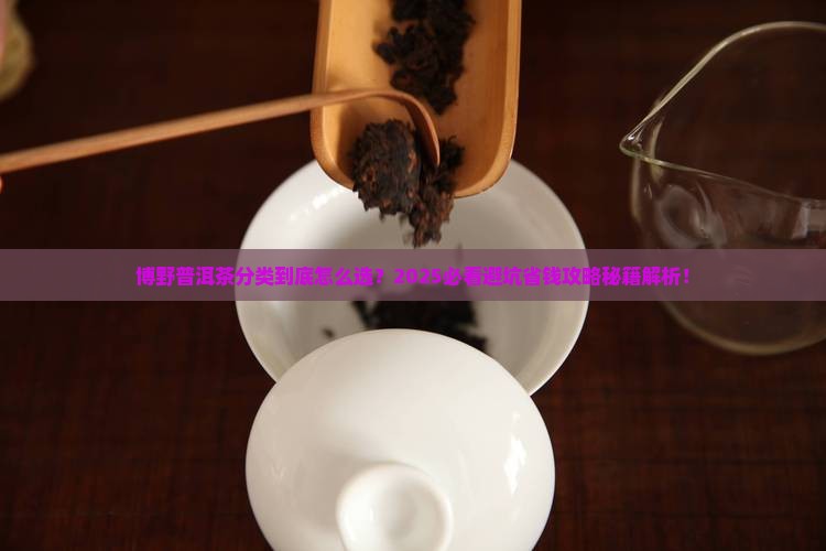 博野普洱茶分类