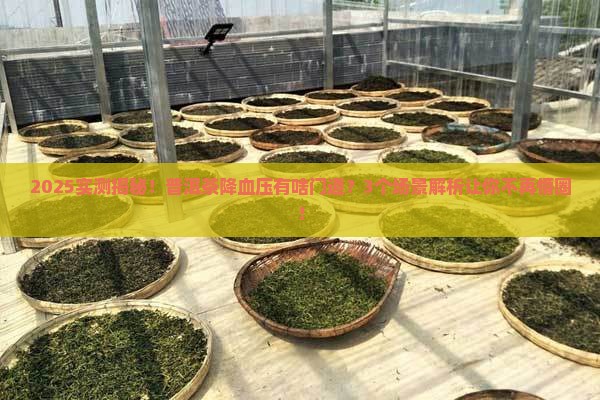普洱茶真的能降血压吗为什么