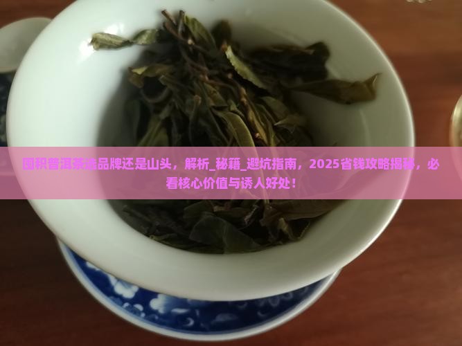 囤积普洱茶选品牌还是山头 囤积普洱茶选品牌还是山头