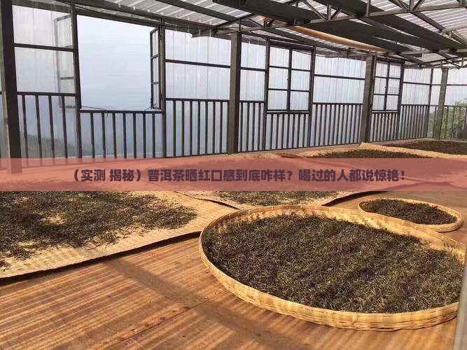 普洱茶晒红口感怎么样