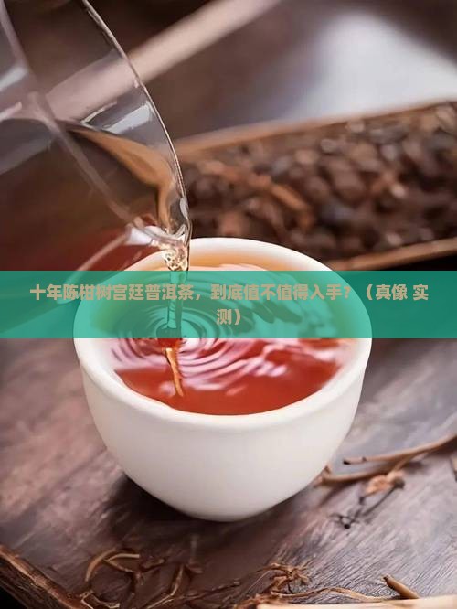 10年柑树宫廷普洱茶