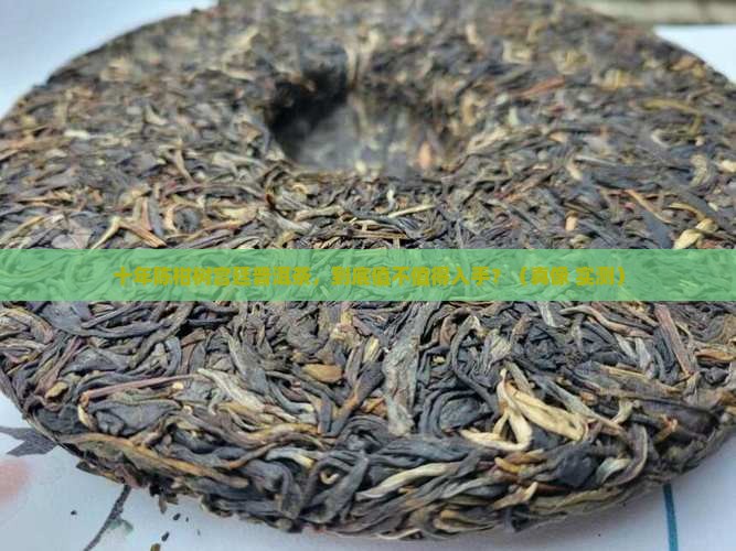 10年柑树宫廷普洱茶