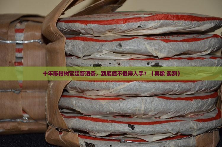 10年柑树宫廷普洱茶