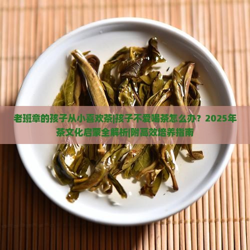 老班章的孩子从小喜欢茶