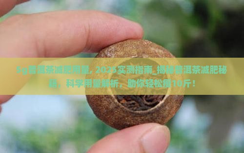 5g普洱茶减肥用量