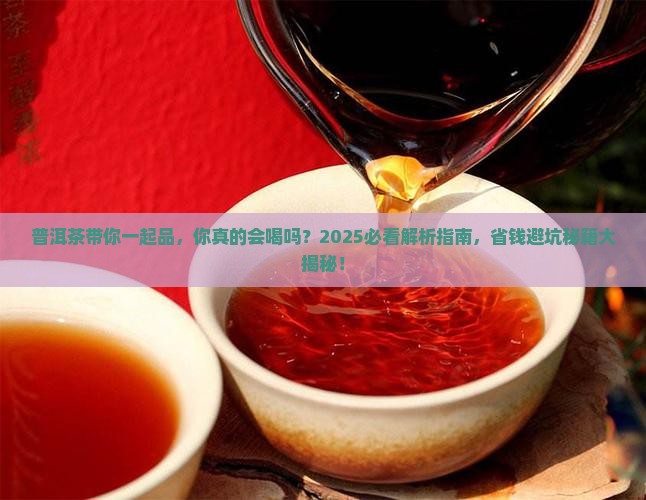 普洱茶带你一起品