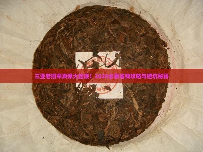 三亚正规的老班章多少钱