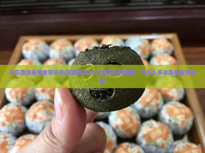 冰岛普洱茶黄金芽价格