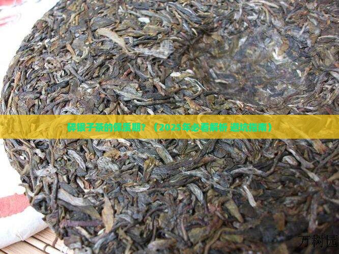 碎银子茶的保质期