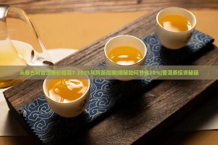 头春古树普洱茶价格