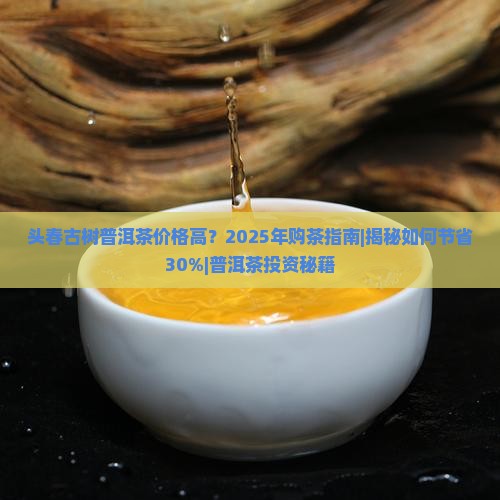 头春古树普洱茶价格