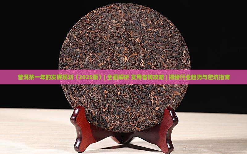 普洱茶一年的发展规划