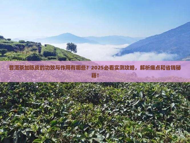普洱茶的功效与作用加陈皮