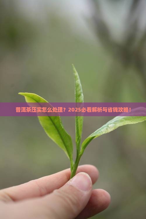 普洱茶压实怎么处理 普洱茶压实怎么处理