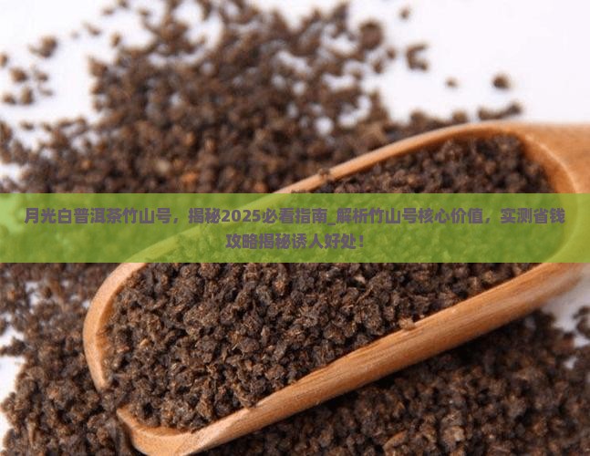 月光白普洱茶竹山号