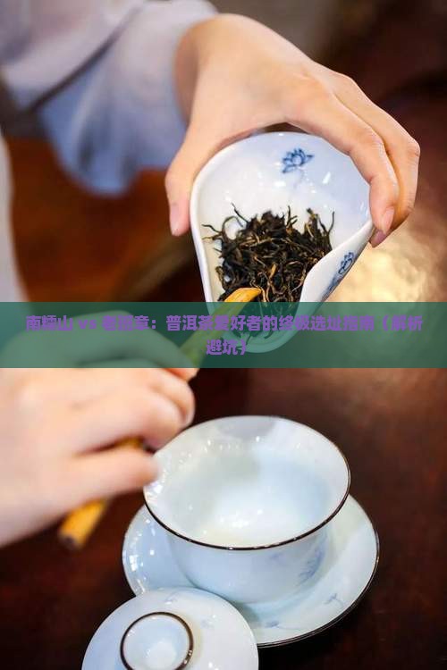 南糯山和老班章地理位置