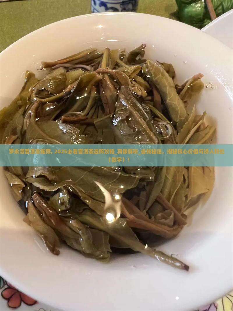 罗永浩普洱茶推荐