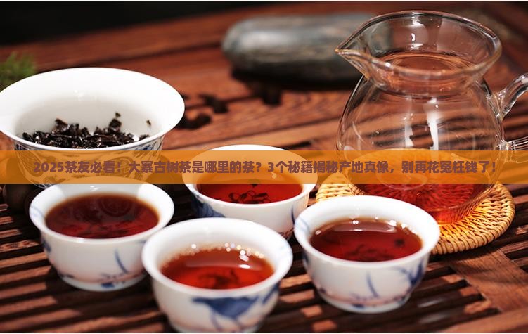 大寨古树茶是哪里的茶