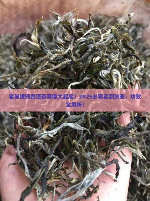 老曼娥熟普洱茶功效 老曼娥熟普洱茶功效