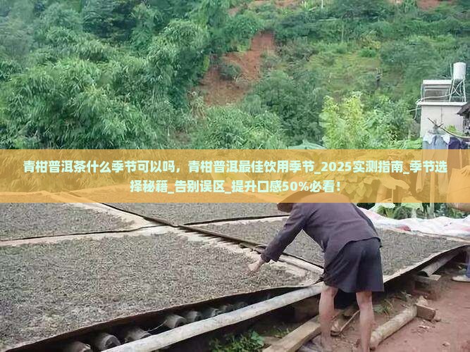 青柑普洱茶什么季节可以吗 青柑普洱茶什么季节可以吗