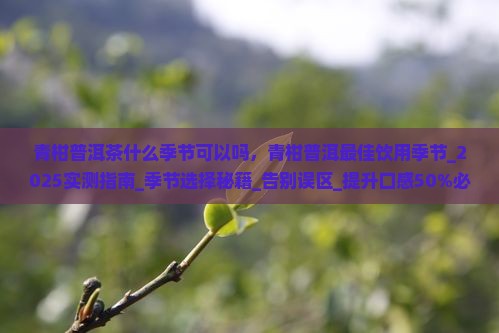 青柑普洱茶什么季节可以吗 青柑普洱茶什么季节可以吗