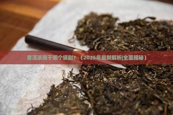 普洱茶属于哪个级别
