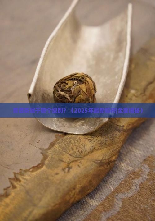 普洱茶属于哪个级别