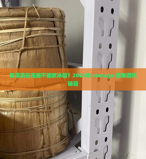 普洱茶能放冰箱储藏吗吗