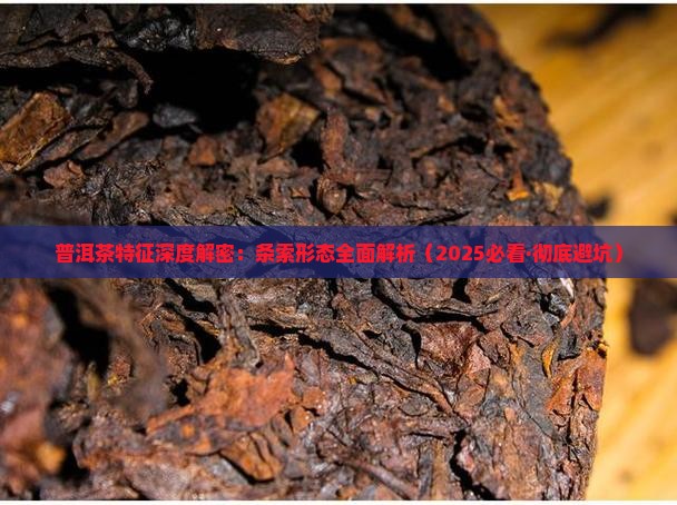普洱茶的条索特征是啥 普洱茶的条索特征是啥