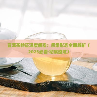 普洱茶的条索特征是啥 普洱茶的条索特征是啥