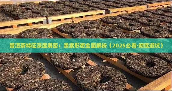 普洱茶的条索特征是啥 普洱茶的条索特征是啥