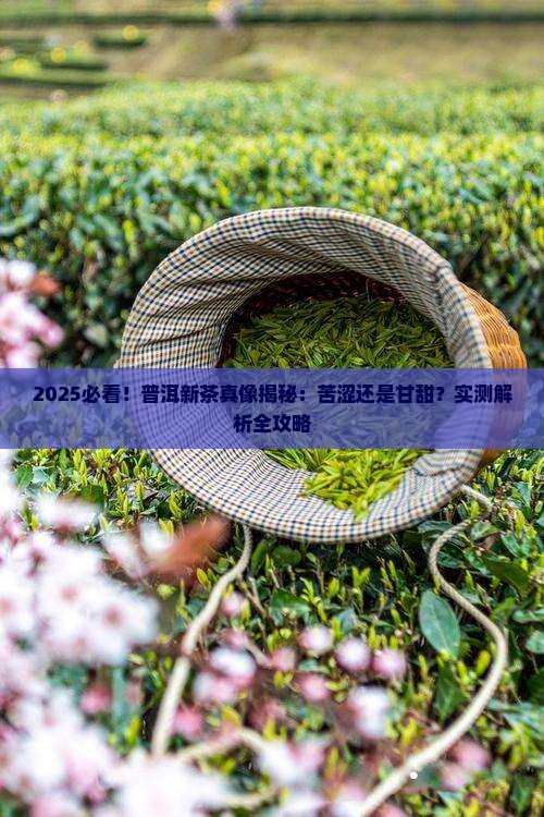 普洱茶新茶是苦涩的吗