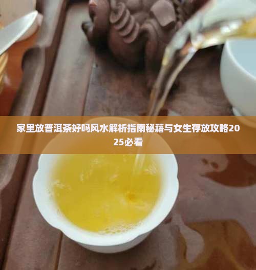 家里放普洱茶好吗