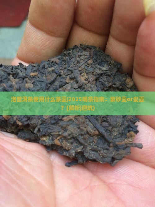 泡普洱茶使用什么茶壶