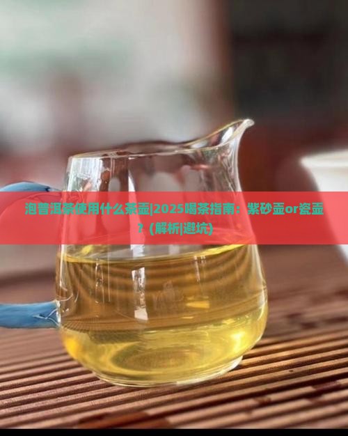 泡普洱茶使用什么茶壶