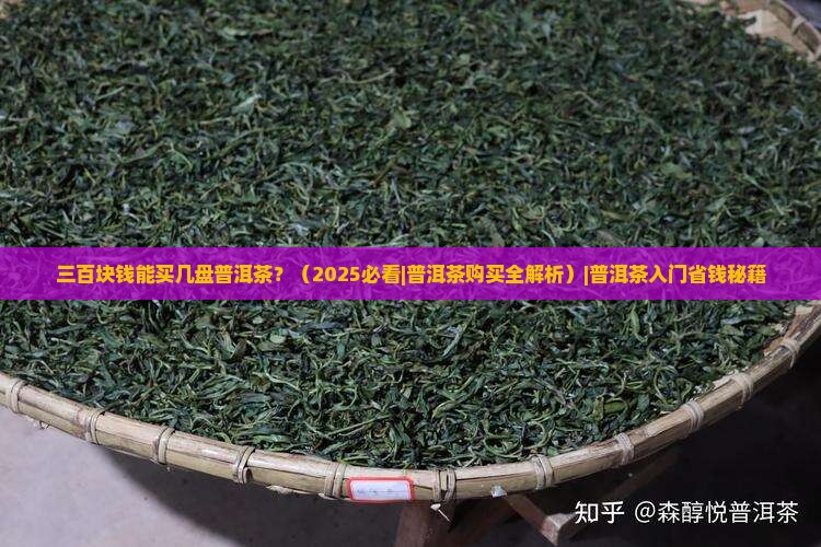 三百块钱能买几盘普洱茶