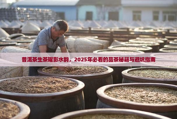 普洱茶生茶曜影水韵普洱茶