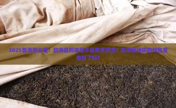 勐海县是产普洱茶的地方吗
