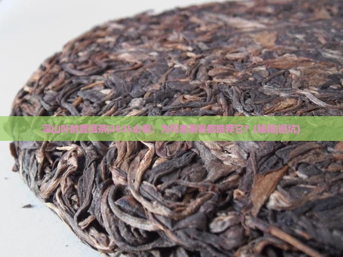 深山叶韵普洱茶