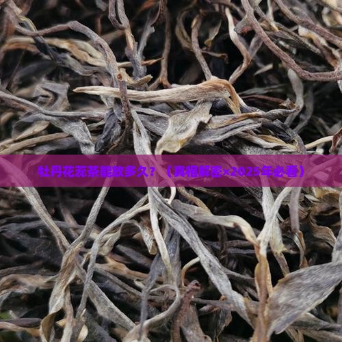 牡丹花蕊茶的保质期是几年