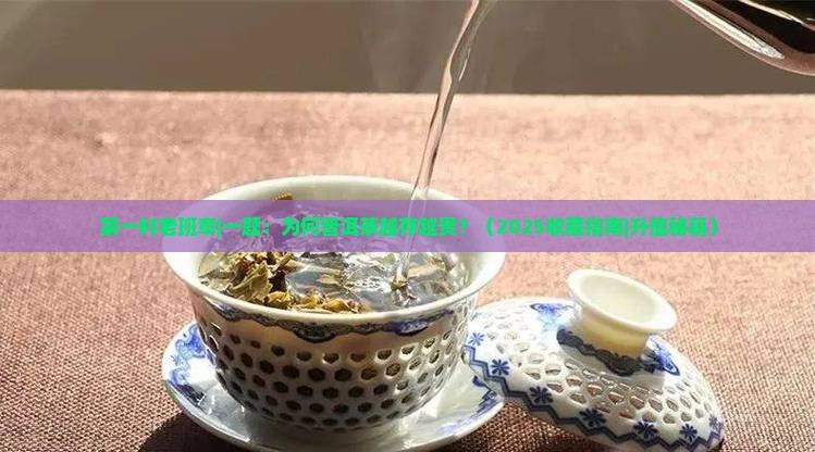第一村老班章一题