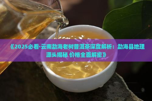 云南勐海老树茶普洱茶