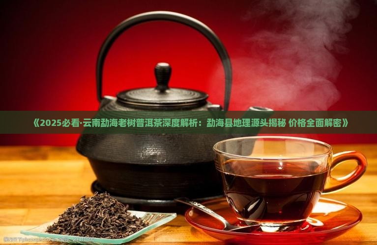 云南勐海老树茶普洱茶