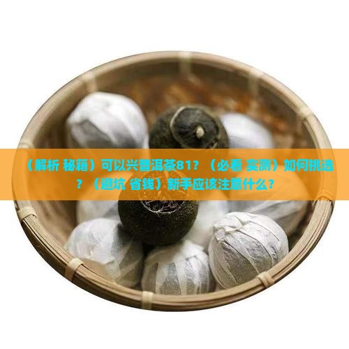 可以兴普洱茶81