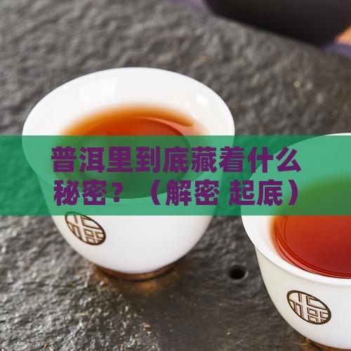 普洱里是什么茶